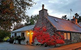 Lilyoak B&B & Self Catering Apartment